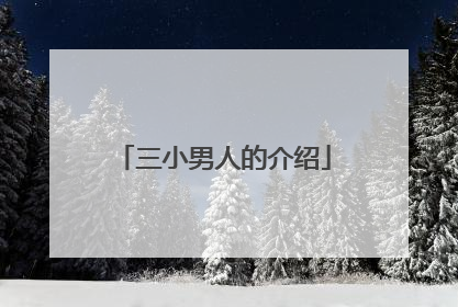 三小男人的介绍