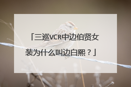 三巡VCR中边伯贤女装为什么叫边白熙？
