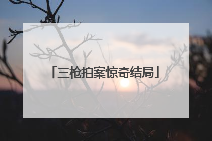 三枪拍案惊奇结局