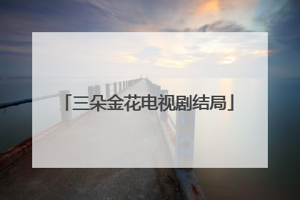 三朵金花电视剧结局