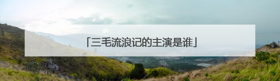 三毛流浪记的主演是谁