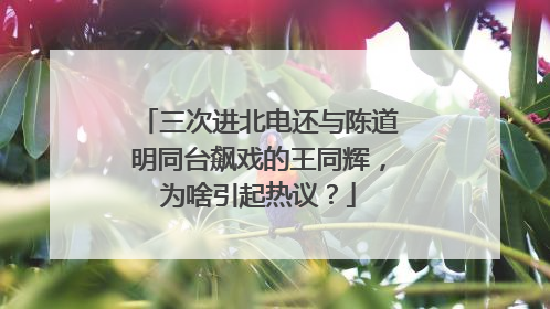 三次进北电还与陈道明同台飙戏的王同辉，为啥引起热议？