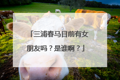 三浦春马目前有女朋友吗？是谁啊？