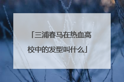 三浦春马在热血高校中的发型叫什么