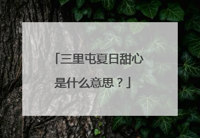三里屯夏日甜心是什么意思？