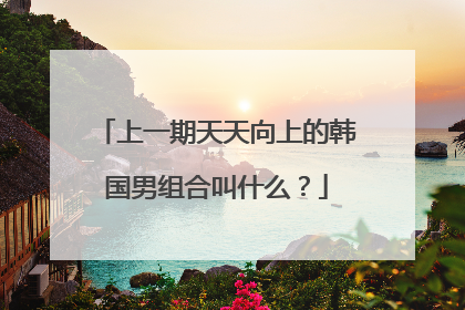 上一期天天向上的韩国男组合叫什么?