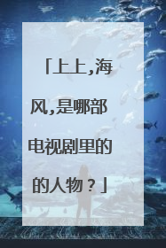 上上,海风,是哪部电视剧里的的人物?