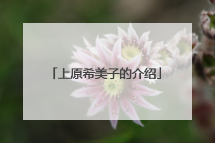 上原希美子的介绍