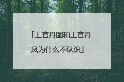 上官丹图和上官丹凤为什么不认识