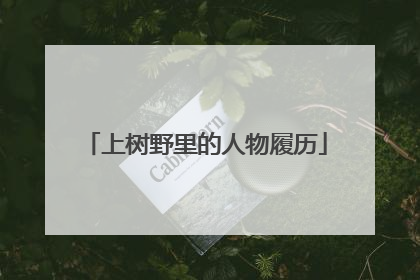 上树野里的人物履历