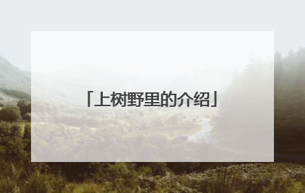 上树野里的介绍