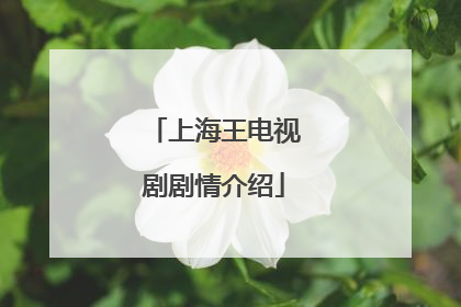 上海王电视剧剧情介绍