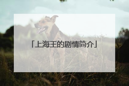 上海王的剧情简介