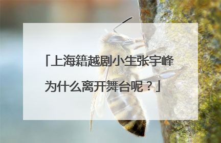 上海籍越剧小生张宇峰为什么离开舞台呢？