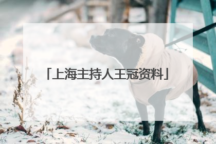 上海主持人王冠资料