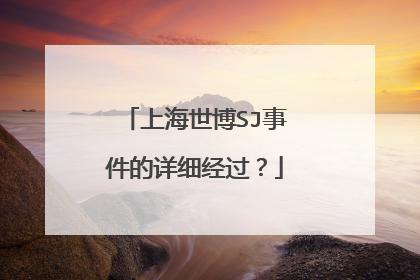 上海世博SJ事件的详细经过？