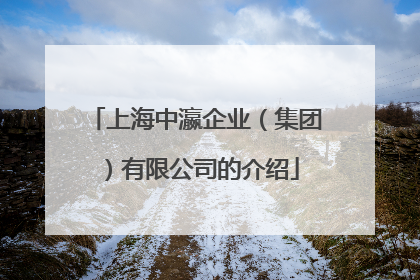 上海中瀛企业(集团)有限公司的介绍