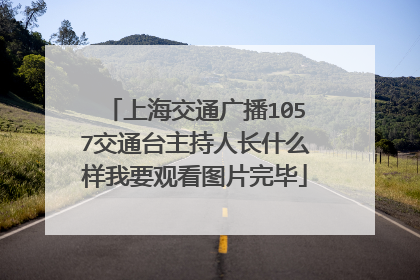 上海交通广播1057交通台主持人长什么样我要观看图片完毕