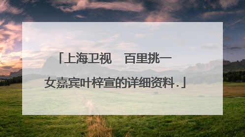 上海卫视  百里挑一  女嘉宾叶梓宣的详细资料.