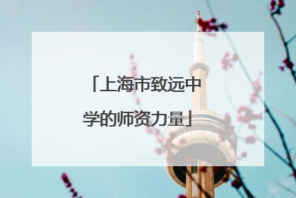 上海市致远中学的师资力量