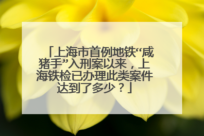 上海市首例地铁“咸猪手”入刑案以来,上海铁检已办理此类案件达到了多少?