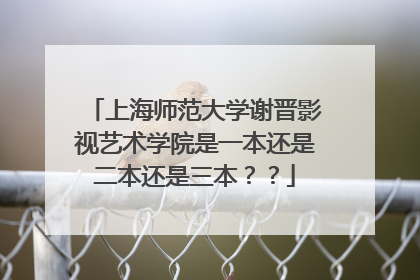 上海师范大学谢晋影视艺术学院是一本还是二本还是三本??