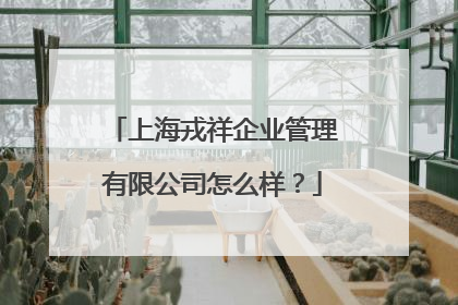 上海戎祥企业管理有限公司怎么样？