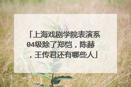 上海戏剧学院表演系04级除了郑恺,陈赫,王传君还有哪些人
