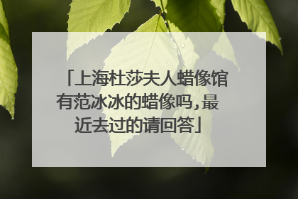 上海杜莎夫人蜡像馆有范冰冰的蜡像吗,最近去过的请回答