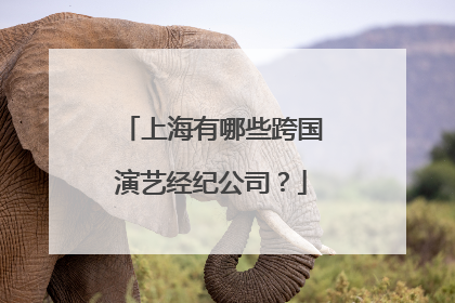 上海有哪些跨国演艺经纪公司？