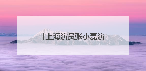 上海演员张小磊演的电视剧有哪些