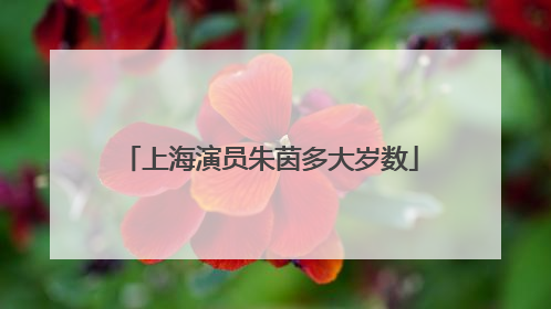 上海演员朱茵多大岁数