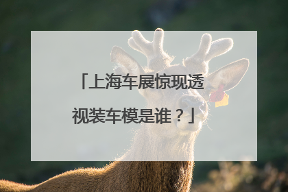 上海车展惊现透视装车模是谁？