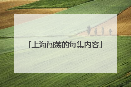 上海闯荡的每集内容