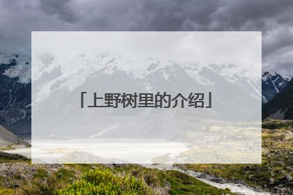 上野树里的介绍