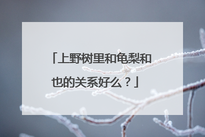 上野树里和龟梨和也的关系好么?