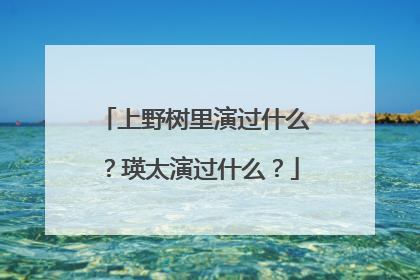 上野树里演过什么？瑛太演过什么？
