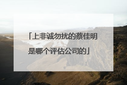 上非诚勿扰的蔡佳明是哪个评估公司的