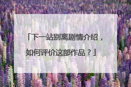 下一站别离剧情介绍,如何评价这部作品?