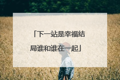 下一站是幸福结局谁和谁在一起