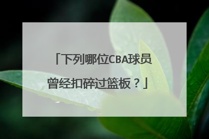 下列哪位CBA球员曾经扣碎过篮板？