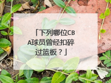 下列哪位CBA球员曾经扣碎过篮板?