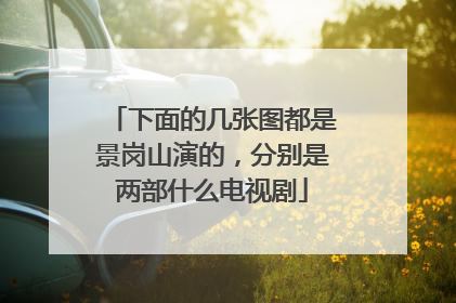 下面的几张图都是景岗山演的，分别是两部什么电视剧