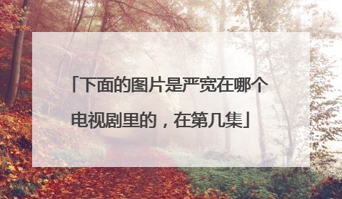 下面的图片是严宽在哪个电视剧里的，在第几集