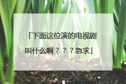 下面这位演的电视剧叫什么啊？？？急求