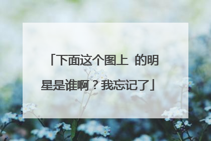 下面这个图上 的明星是谁啊？我忘记了