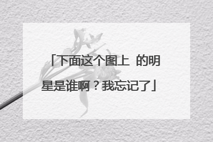 下面这个图上 的明星是谁啊？我忘记了