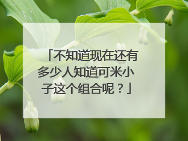 不知道现在还有多少人知道可米小子这个组合呢？