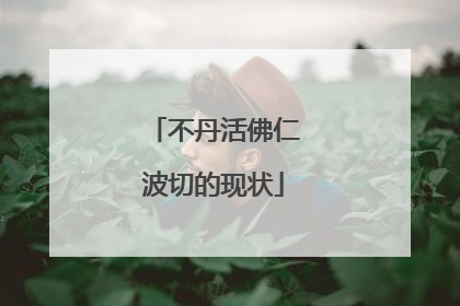 不丹活佛仁波切的现状
