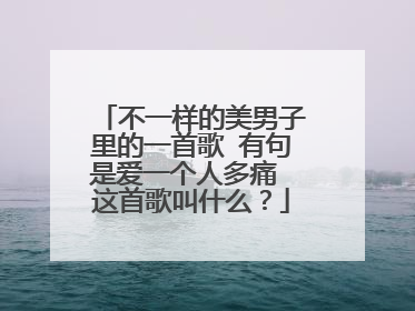 不一样的美男子里的一首歌 有句是爱一个人多痛 这首歌叫什么?
